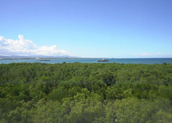 Hotel Mangrove Residences Mactan